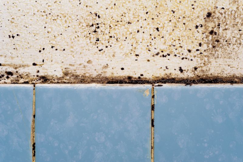 Mold Prevention in Bathrooms