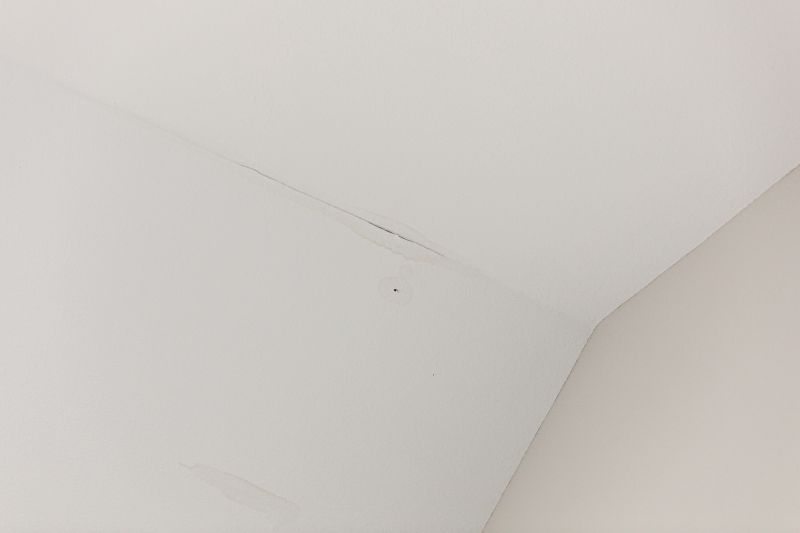 Leaking Ceiling Repair in Katy, TX